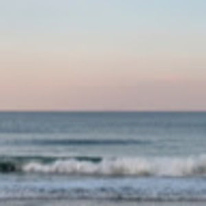 Meet your Posher, Lyndon